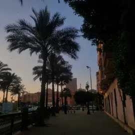 #شيرين
