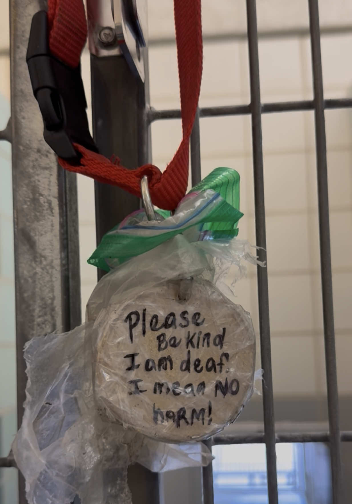Update: Caitlyn is safe with a shelter foster! If you are her foster please message me! ❤️  🚨 Caitlyn will be euthanized Wednesday 5/14🚨 Caitlyn’s collar is killing me. She is heartworm positive and has had puppies in the past but she was definitely an owned dog because someone cared enough to put a tag on her that says “please be kind I am deaf I mean no harm” 😭. My assumption is her owners wanted people to know her barking at you is just a trait of hers because she is deaf. Shes going to need a good rescue or adopter who is experienced in navigating life with a special needs dog! •ID: #A2010784 •Intake: Stray -1 large boxer mix breed dog roaming the neighborhood going back and forth to callers property •Female   •5YR  •48lbs  •AMER BULLDOG MIX •Heartworm positive Please be aware that all euth dogs need a hold by 1PM. If you want to help, please be proactive do not wait! If you're interested in a pet and live out of state, I encourage you to reach out to your local rescues to see if they pull from Texas shelters. I am NOT the shelter and do not decide which animals are on the euthanasia list or their outcomes, I am only a volunteer networking at risk dogs. The shelter is legally required to accept every animal brought to them, regardless of breed, temperament, health condition, or circumstance. Due to high intake numbers and lack of space, there is a euthanasia list‼️ 📌 Please contact BARC if you are local and can help! Neither BARC nor I can assist out of state adoption or foster offers. The shelter WILL NOT hold a dog for anyone out of state. You must physically go to the shelter to adopt. 💌 𝗔𝗹𝗹 𝗵𝗼𝗹𝗱𝘀 𝗠𝗨𝗦𝗧 𝗯𝗲 𝗶𝗻 𝘄𝗿𝗶𝘁𝗶𝗻𝗴, 𝘀𝗼 𝗽𝗹𝗲𝗮𝘀𝗲 𝗱𝗼 𝗻𝗼𝘁 𝗖𝗮𝗹𝗹. 𝗜𝗳 𝗟𝗼𝗰𝗮𝗹 𝗮𝗻𝗱 𝗶𝗻𝘁𝗲𝗿𝗲𝘀𝘁𝗲𝗱 𝗶𝗻 𝗙𝗼𝘀𝘁𝗲𝗿𝗶𝗻𝗴 𝗼𝗿 𝗔𝗱𝗼𝗽𝘁𝗶𝗼𝗻, 𝗲𝗺𝗮𝗶𝗹 𝗮𝗹𝗹 𝗯𝗲𝗹𝗼𝘄:  barcfoster@houstontx.gov barcadoptions@houstontx.gov BARC.Aid@houstontx.gov 𝐏𝐥𝐞𝐚𝐬𝐞 𝐮𝐬𝐞 𝐭𝐡𝐞 𝐚𝐧𝐢𝗺𝐚𝐥’𝐬 𝐬𝐞𝐯𝐞𝐧 𝐝𝐢𝐠𝐢𝐭 𝐈𝐃 𝐧𝐮𝗺𝐛𝐞𝐫 𝐰𝐡𝐞𝐧 𝐜𝗼𝐧𝐭𝐚𝐜𝐭𝐢𝐧𝐠 𝐭𝐡𝐞 𝐬𝐡𝐞𝐥𝐭𝐞𝐫. 📍BARC Animal Shelter  3200 Carr St Houston, TX 77026 www.houstontx.gov