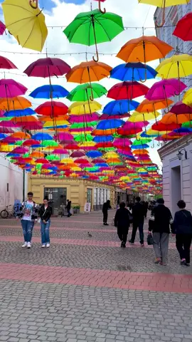#romania🇷🇴timisoara 