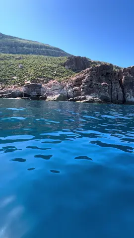 #zembrawaves #tunisia🇹🇳 #fyp #hawaria #51401818 