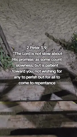 #bibleverse  #patience #God #Godisworking #for @$AlwaysmilingBlessed Ministry 