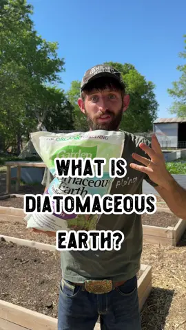 What do bugs and my lungs have in common? They both dry up and die when hit with Diatomaceous Earth. Today we are looking at what diatomaceous  earth is, how it works and some of the pros and cons of using it. Turns out, sprinkling prehistoric murder powder around your garden is totally legal and oddly satisfying. #dt #diatomaceousearth #bug #bugs #beetles #insect #insects #pollinator #garden #gardening #gardeningtips #tip #tips #helpful #funfact #funfacts #helpful #fact #powder #fossil #homestead #homesteading #shilohfarm #plant #plants 