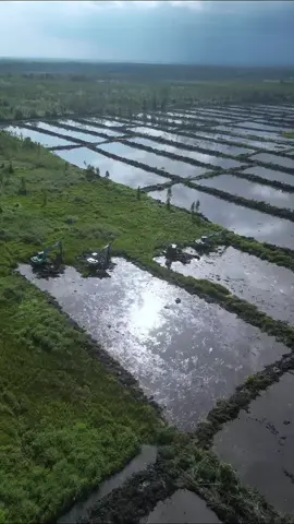 cetak sawah kalteng🗣️💪 #fypppppppp  #kalimantantenggah🔥 