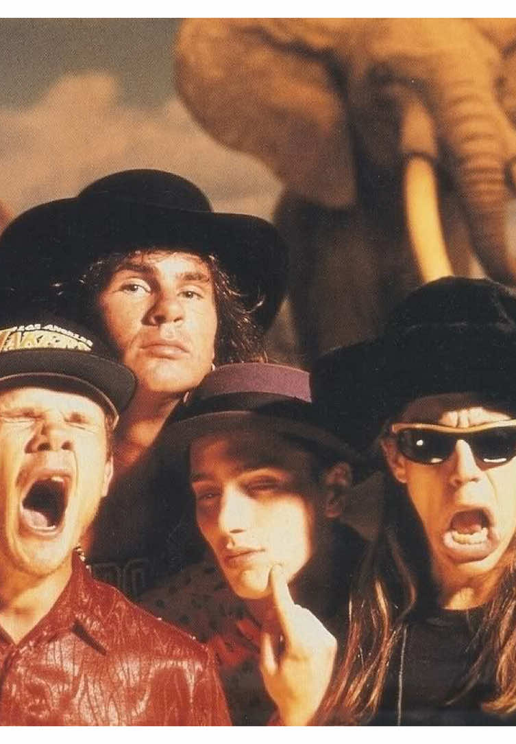 The Red Hot Chili Peppers perform Higher Ground On The Arsenio Hall Show, 1989  Footage From RHCP Live Archive #redhotchilipeppers #johnfrusciante #chadsmith #flea #anthonykiedis #redhotchillipeppers #livemusic #