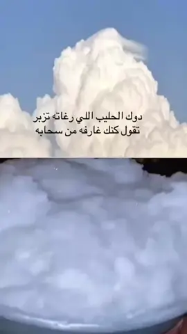 #الشعب_الصيني_ماله_حل😂😂 #المملكة_العربية_السعودية #😂😂😂 #ماشاءالله_تبارك_الله #الابل 