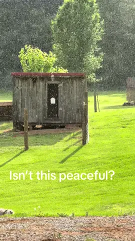 #sunnyrain #rain #nature #rainontinroof #farmlife 