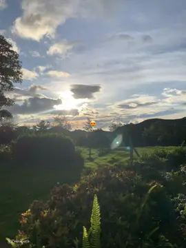 #LIVEIncentiveProgram #LIVEInteraction #PaidPartnership                          #atardecer #viral #musica #rolitas #joansebastian #romantica #amor 