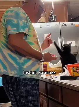 Instant karma👀👀#foryou #fypシ #funnyvideo #usa🇺🇸 #catsoftiktok #cat 
