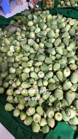 uống trâu cổ sướng ong khổ bà 