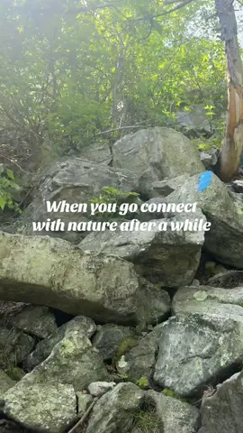 When you forget to mute your connecting with nature video!🤣🤣🤣 #fyp #Hiking #nature #explore 