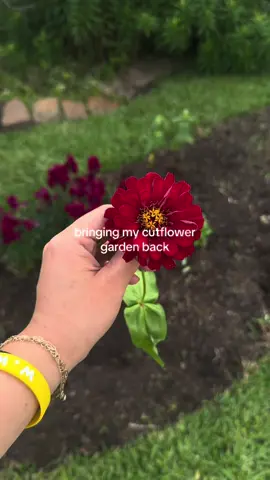 springtime gardening is my FAVORITE