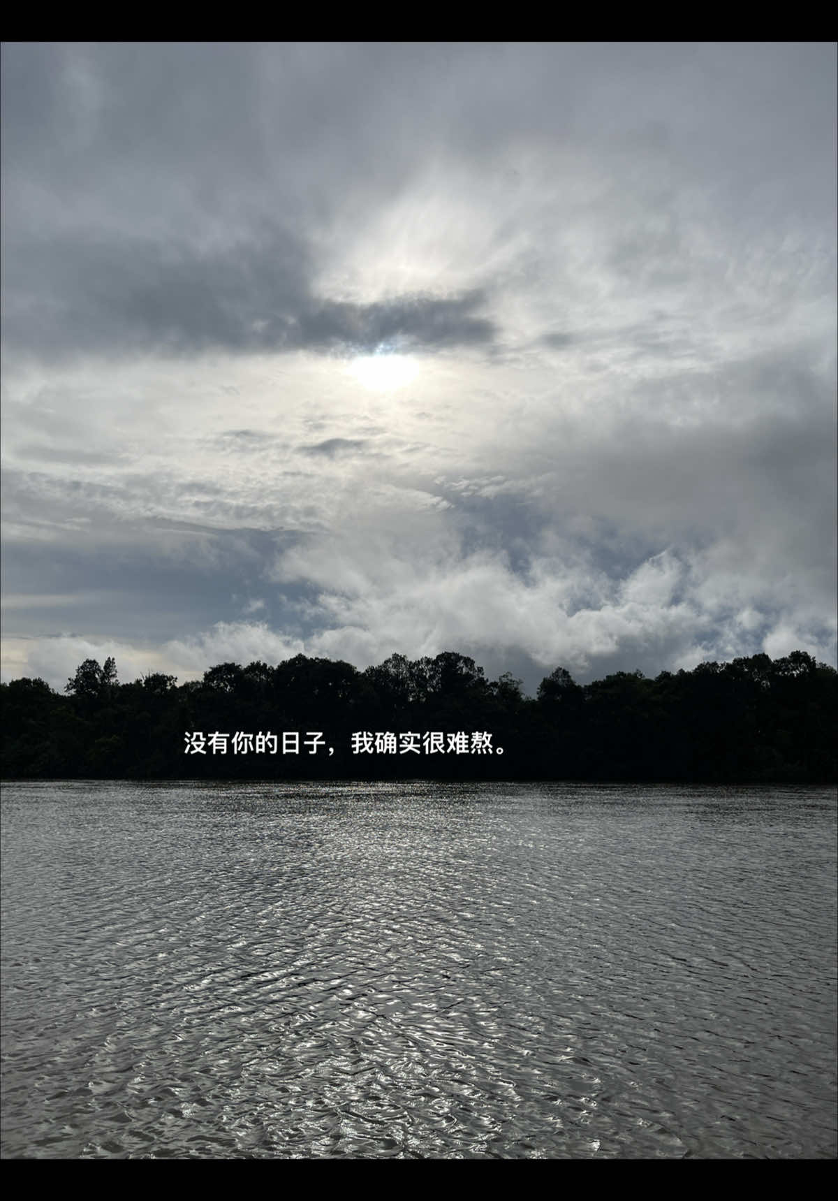 没有你的日子 我确实很难熬 #情感 #爱情 #伤感 #文案 #分享 #风景 #音乐 #foryou #foryoupage 