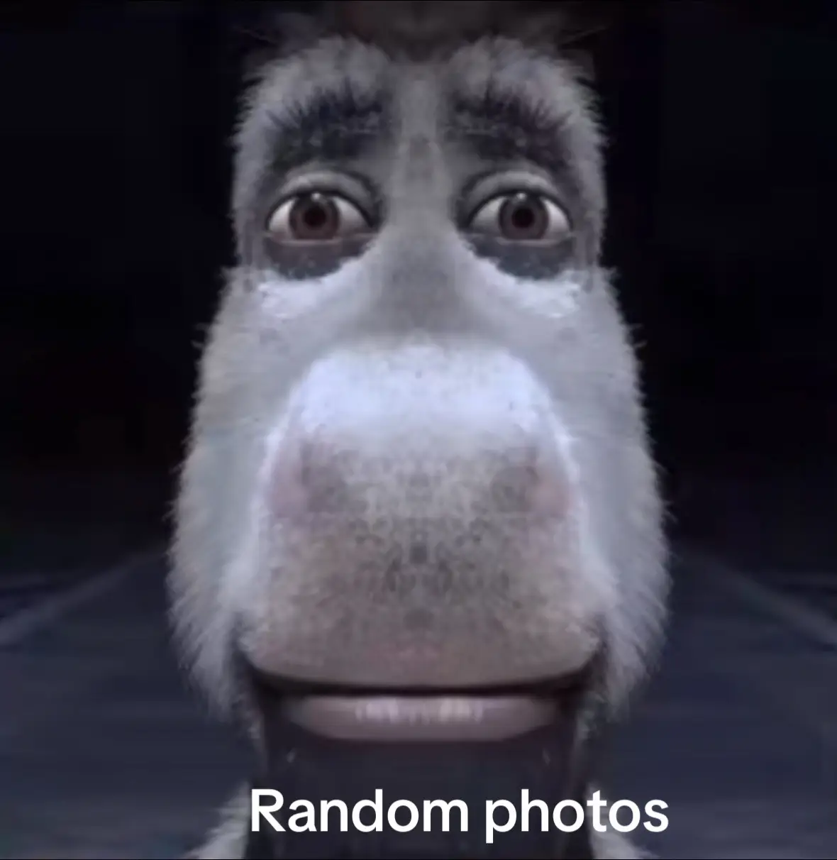 Photos