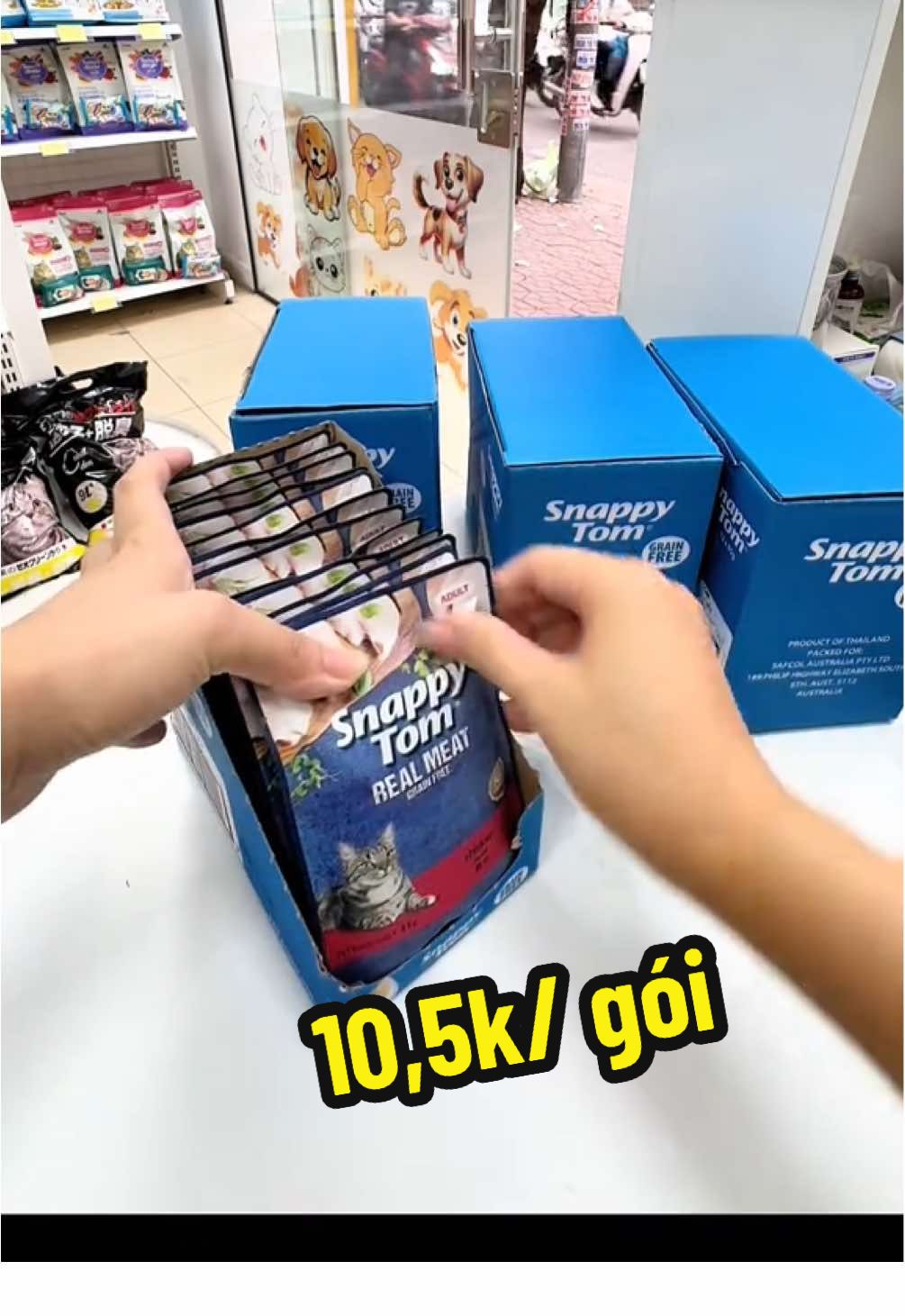 #kempet177ngogiatu #patechomeo #patesnappytom #bstygaumeo #snapytomwetfood 