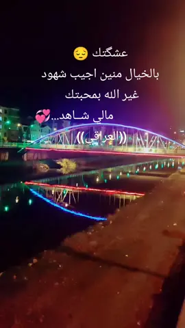 #تركيا🇹🇷 #العراق🇮🇶 #الامارات🇦🇪 #سوريا #مصر🇪🇬 السعودية