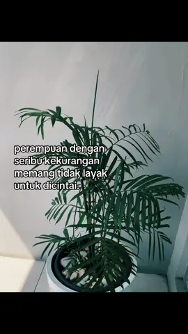 #masukberanda #foryoupage #sadvibes🥀 #galaubrutal #fypage #xybca #fypage 