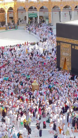 اللهم اكرمهم وارزقهم وتقبل منهم #مكة #المسجدالحرام #الحرم_المكي #الحرم #الكعبة_المشرفة 