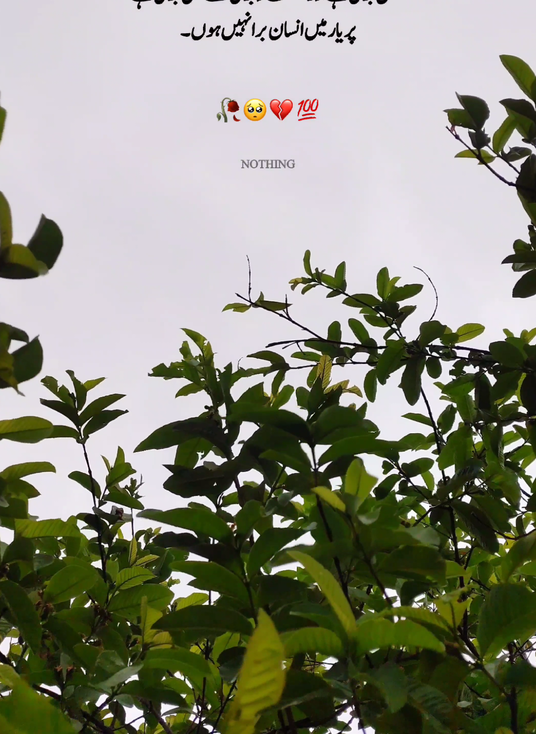 Bura Nahi Hon🥺💔🥀#viral #account #growth #foryou #forypupage #trending #sad #status #poetry #broken #fyp #fypシ゚ @AX MAFIA🇮🇷🇵🇰 @꧁༒☬𝕾𝖍𝖎𝖟𝖚𝖐𝖆☬༒꧂, @𝓘𝓽’𝓼 𝓲𝓶𝓻𝓪𝓷 