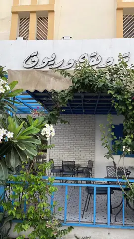 احلى فطور في ترويقه وريوق #اكسبلور #بيشة #الجنوب #عسير 