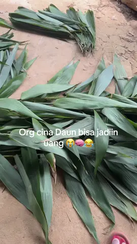 #daunbacang #kuebacang #kalimantanbarat #fyppppppppppppppppppppppp 
