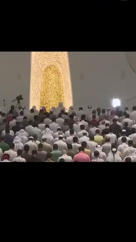 تلاوة خاشعة من سورة (ق) للقارئ هيثم الدخين#قران #تلاوة_خاشعة #دعاء #هيثم_الدخين 