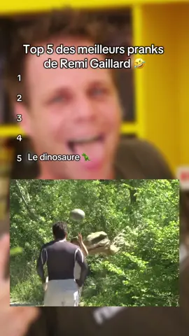 Top 5 des meilleurs pranks de Remi Gaillard🤣 Version animaux  #top5 #prankvideo #remigaillard 