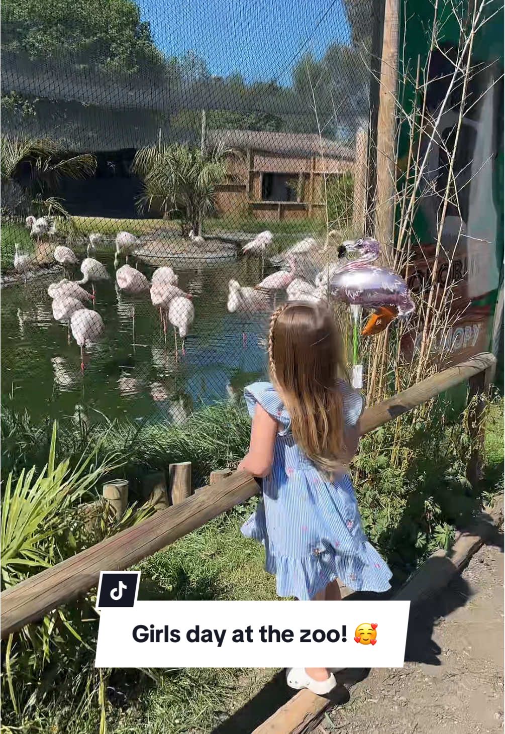 Come and spend a girls day at the zoo with me and Ava 🩷🥰 so proud she slept all night in her bed and I had to wake her up!!!! #girlsday #stdwm #daysout #fyp #motherhood #zoo #animals #mumtok #familytok #ditl #Vlog 