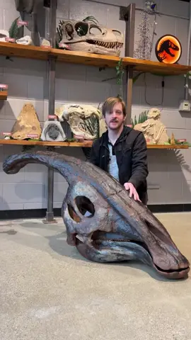 Parasaurolophus - what did it sound like? #parasaurolophus #paleontology #dinosaur 