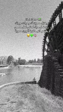 وبغزل حموي😂📿.#تصاميمي #fyp #f #🦋 #الحموية #تصاميم_فوفو 