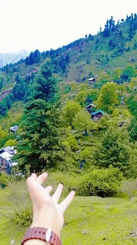 koi gadiyan de veel hondy#virlvideo #hadiqamanzoor #kashmirwithstand #tiktokvirla_video #foryoupageofficiall #bosslady #foryou 