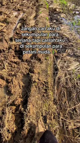 Semangat para petani 🫶💪#fypシ゚ #doaibu #petani #petanimuda