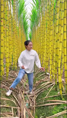 OMG 😱🍀☘️🌱🔥💥#happy#fyp#asmr#fruit 