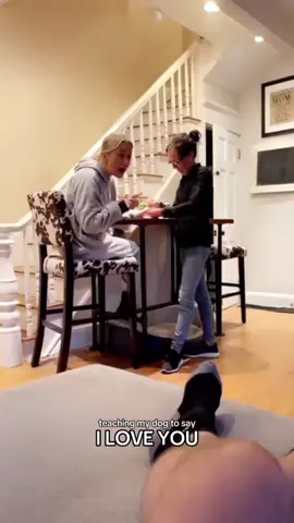 The dog wil say I love you#dog #dogsoftiktok #fpyシ #pet #tiktok #funnyanimals #funnyvideos 