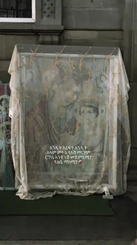 #ማርያም #ኪዳነምህረት #maryam #✝️ #ortodox #ክርስቶስ 