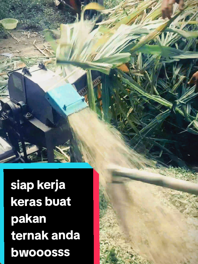 Mesin terkirim langsung gaass kerassss!! sama juragannya. silahkan boss chopper multifungsi dengan 4 mata pisau (HSS) dan tebal plat bodyy 2,4 mm. Siap kirim seluruh indonesia.  info pemesanan: 081 358 085 349 @CV Kanigoro Jaya Steel   #chopper #mesincacahrumput #mesinmultifungsi #tehnik #ternak #pakanternak #domba #sapi #silase #fermentation #kosentrat #peternak #fypppppppppppppppppppppp #capcut #blitar24jam #indonesia 