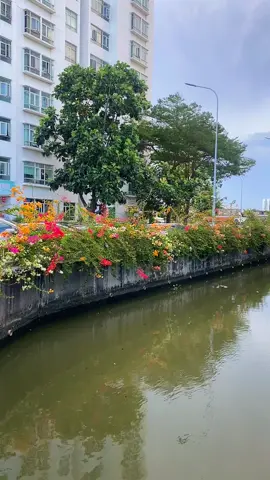 Dạ, Minh kính chúc Quý vị cùng Quý Gia quyến một buổi Chiều có thêm nhiều Phước hạnh và Bằng an. #đammêmỹnghệ #minhphannguyen6 #mỹnghệ #mỹthuật #cẩnốcxàcừ #khảmtraiViệtNam #videoviral #Love #Thankyou #videotrending #ốcxàcừ   