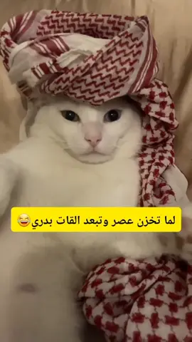 #تراندات_تيك_توك 