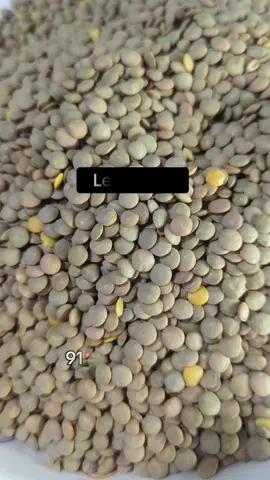les lentilles #lentilles #tiktoklometogo🇹🇬 #tiktokafrique🇹🇬🇨🇩🇨🇮🇧🇯🇬🇦🇨🇲🇬🇦 #percersurtiktok#naturel #bienetre 