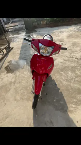 uây đỏ chứng tỏ…