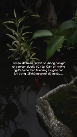…#tamtrang #story 