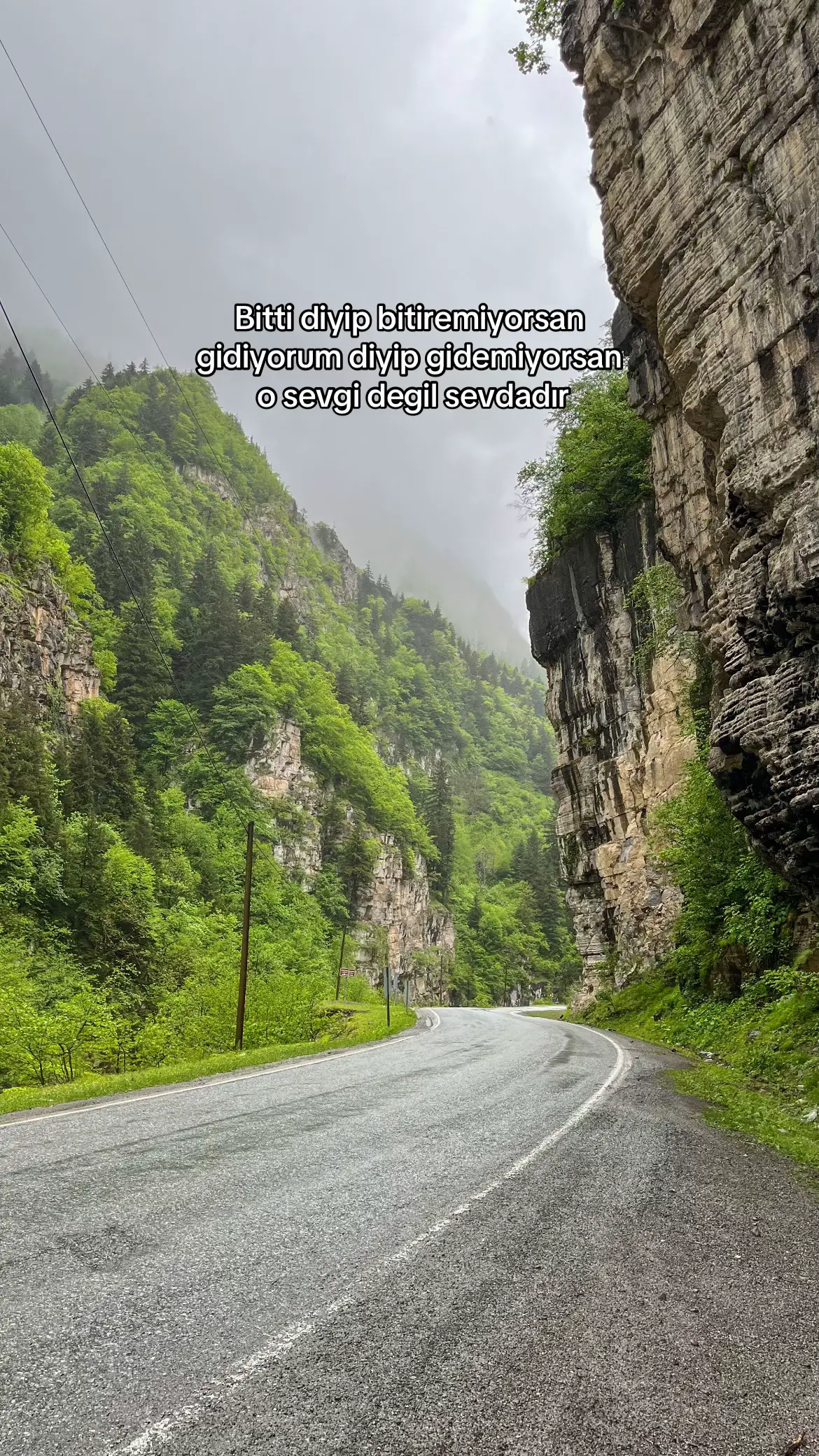 Bitti diyip bitiremiyorsan gidiyorum diyip gidemiyorsan o sevgi degil sevdadır… #keşfetteyizzz #fypシ゚ #trabzon #karadeniz #keşfet #61 #keşfetbeniöneçıkar 
