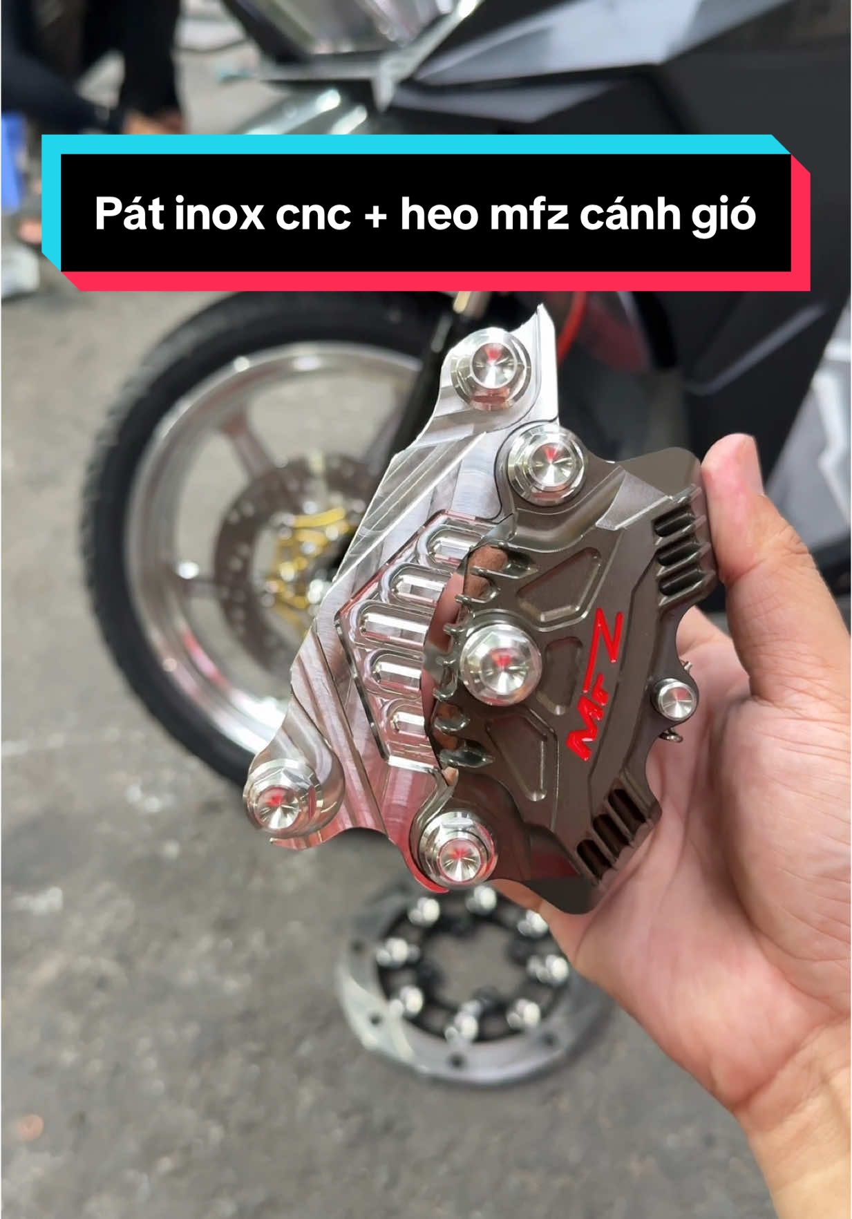 Pát inox cnc + heo mfz cánh gió