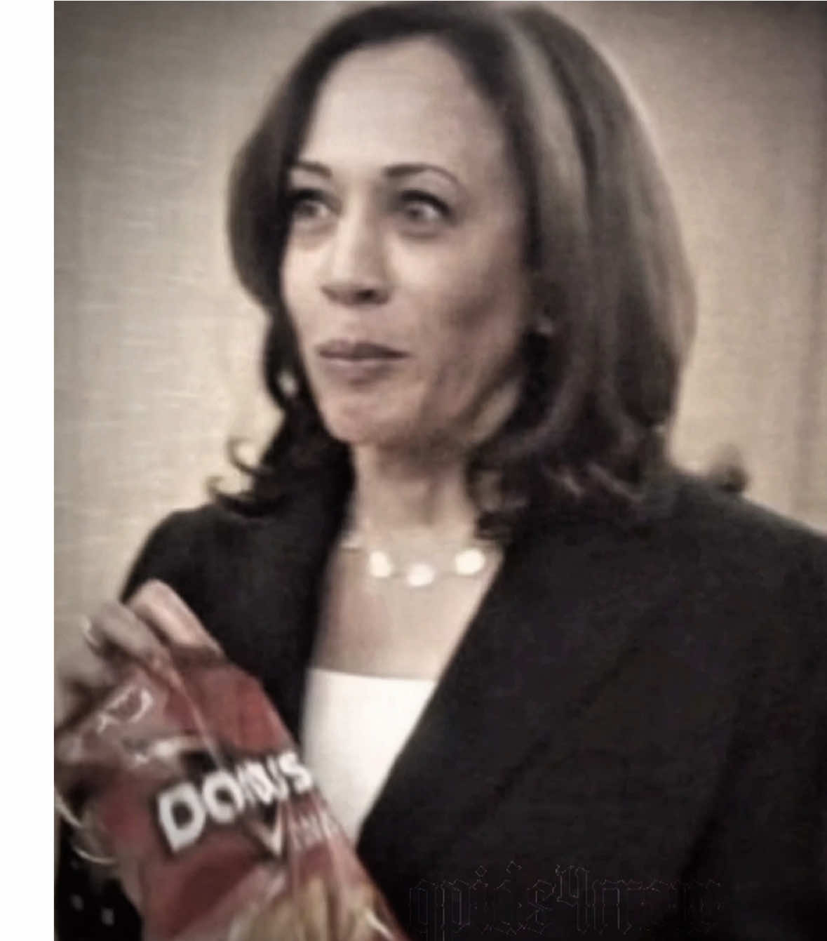 KAMALA ATE DOWNNNN 💗 #kamala #kamalaharrisedit #democrats #edit #blue #voteblue #fypシ #viralvideo #blowthiseditup 
