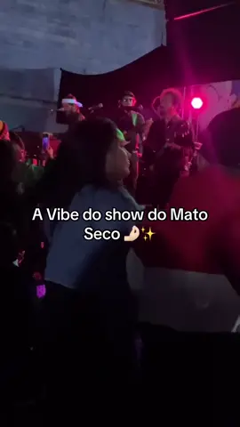 Um dos melhores show que já fui 🙌🏻 #reggae #rootsreggae #rootsrockreggae #matosecoreggae #matoseco 