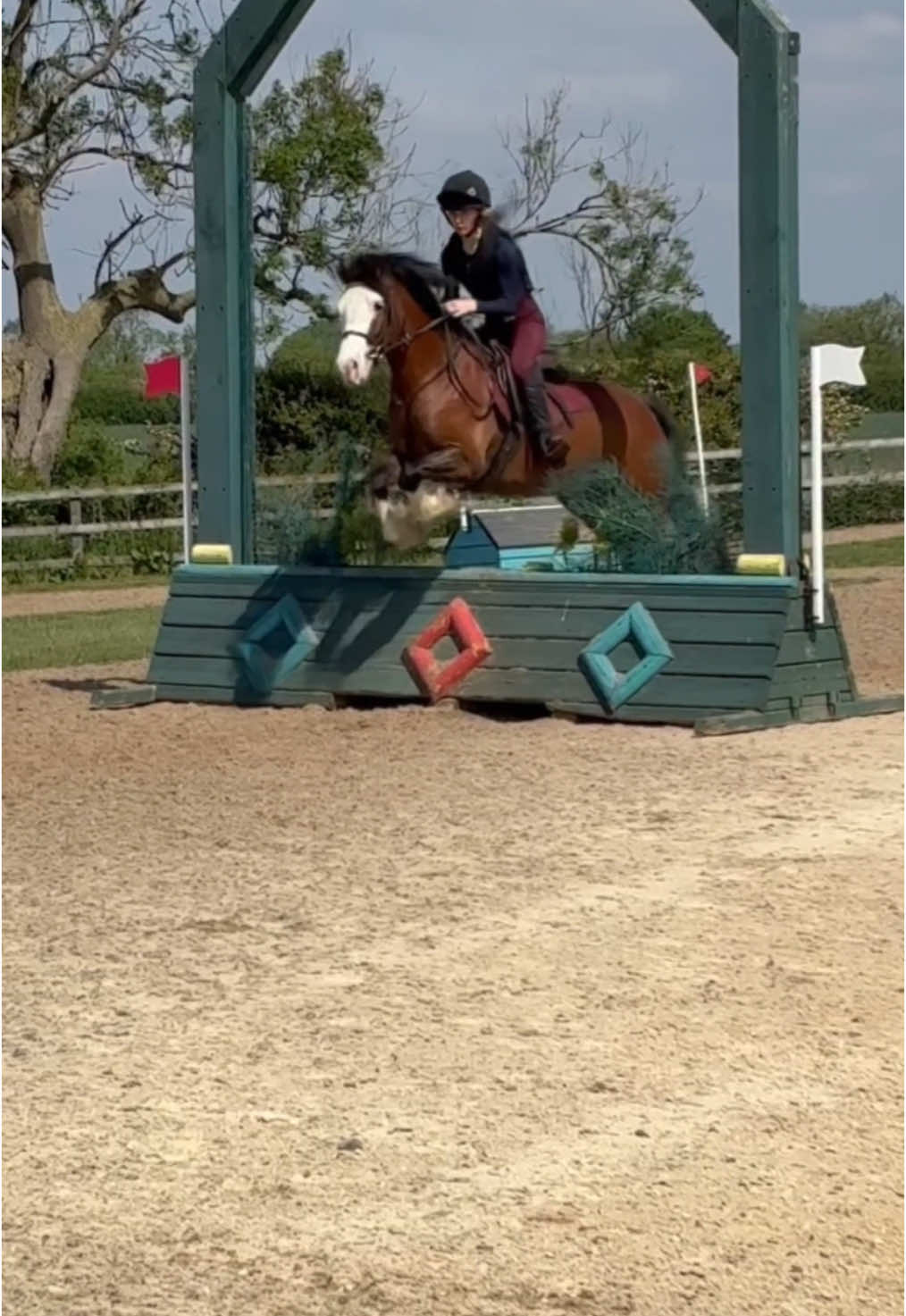 Little opinionated ho is back bros I’m thinking a jumping career is still out of the question but he’s so much fun 😭 #fyp #foryou #horseriding #welshveiwrocketman #CapCut 