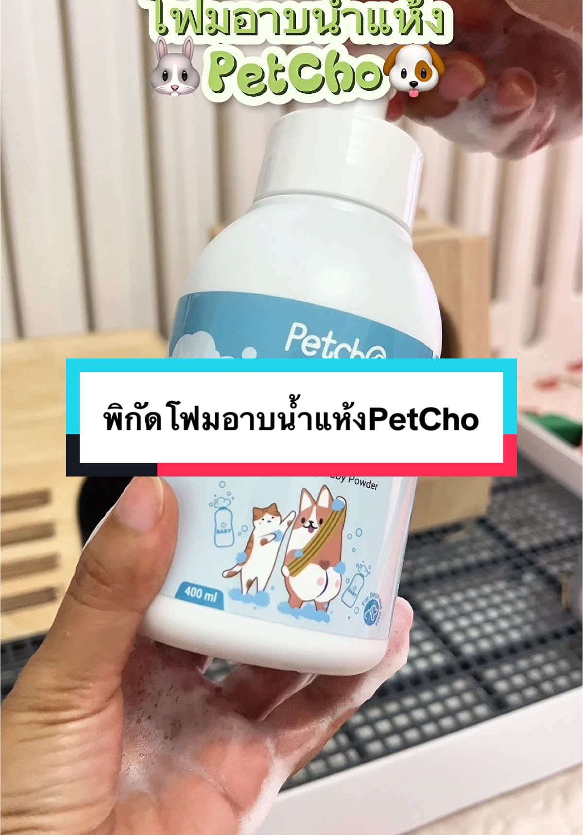 โฟมอาบน้ำแห้งสำหรับสัตว์เลี้ยงPetCho สุนัข แมว กระต่าย#ทาสกระต่าย #ทาสหมา #ทาสแมว #โฟมอาบน้ําแห้ง #โฟมอาบน้ําแห้งสัตว์เลี้ยง #โฟมอาบน้ําแห้งสัตว์เลี้ยง #ของใช้สัตว์เลี้ยง #หม่ามี๊กระต่ายPetshop #สวนสัตว์tiktok  @หม่ามี๊กระต่าย PetShop  @หม่ามี๊กระต่าย PetShop  @หม่ามี๊กระต่าย PetShop 