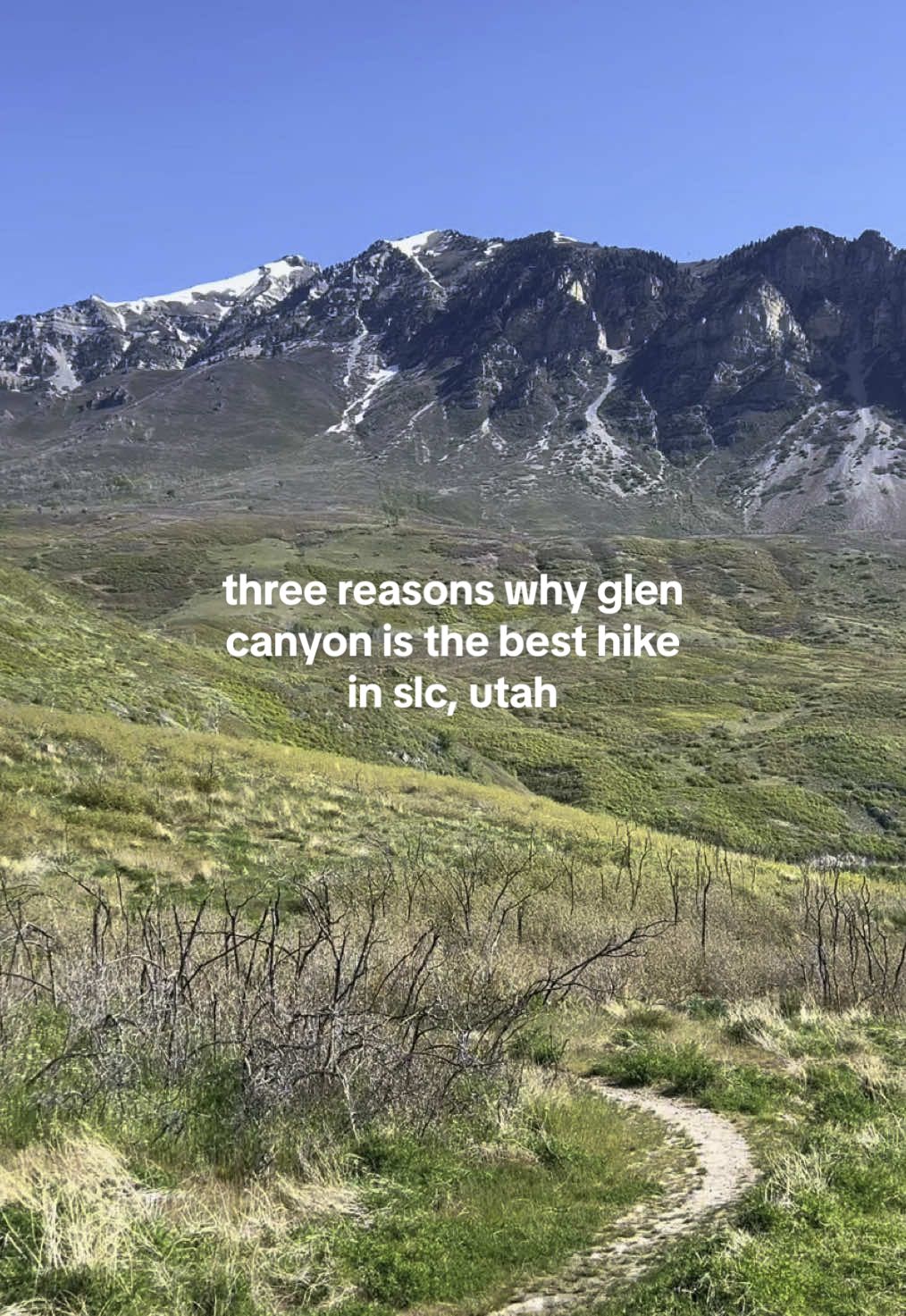 lmk if you end up hiking this trail!! absolutely gorgeous ✨  comment other trails you’d recommend in the slc area! #utah #provocanyon #Hiking #mountains #fyp 