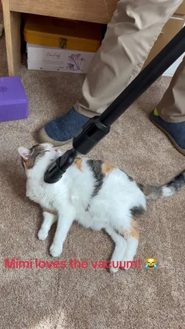 ##mimicat🐈😻 #mimicatsucks #catsoftiktok #catlover #catvacuum 