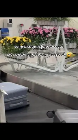 ဘယ်လိုလုပ်မလဲ🤣 #SAH #sah_17 #fyp #foryou #foryoupage #livephoto #JustforTiktok 