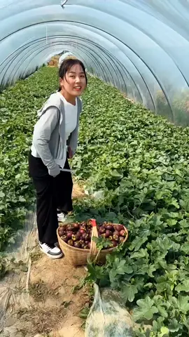 OMG😱🥰💥🔥#fruit #fruits #threefarmers #fyp #asmr #foryou #happy 